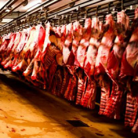 Qu'est-ce que la “viande froide” ?